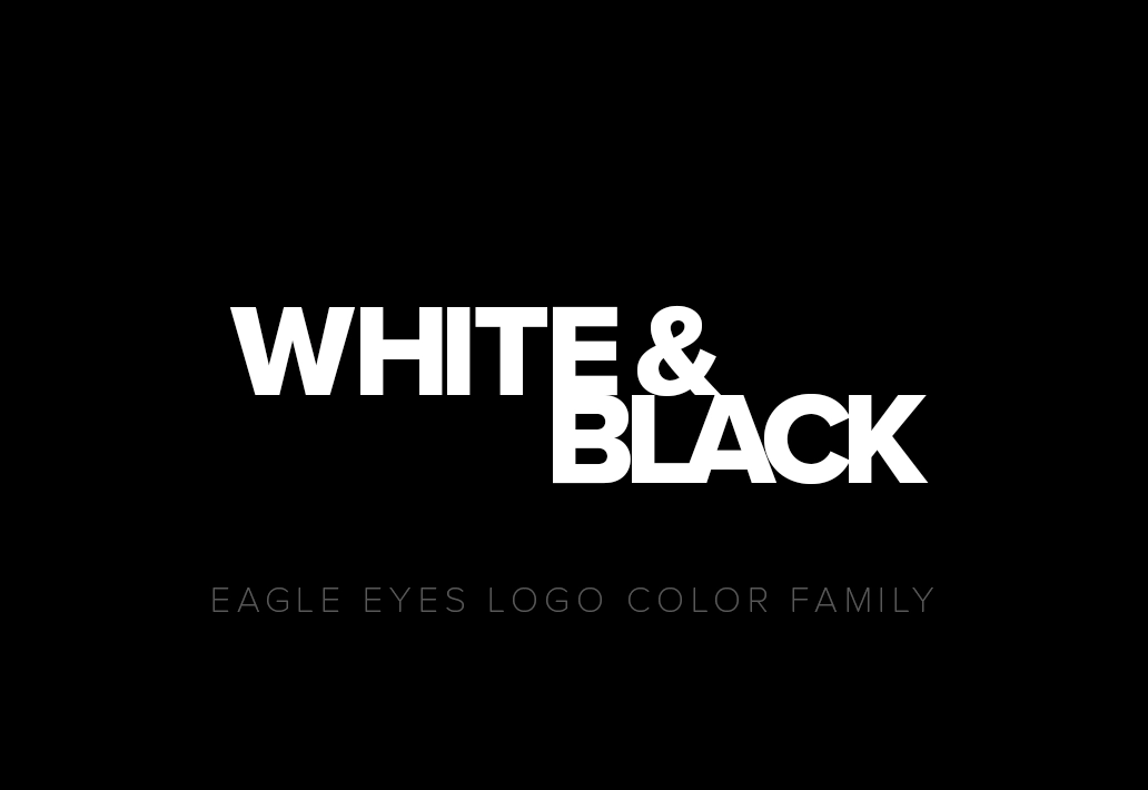 Eagle Eyes Logo / Kurumsal Renk Ailesi