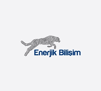 Enerjik Bilişim Logo Tasarım