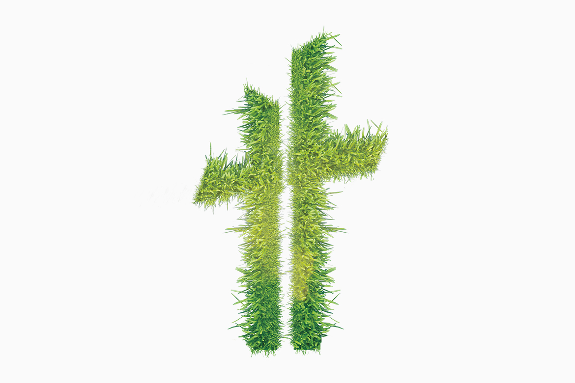 Motto Teras Bahçe İnşaat Katalog Tasarımı / Kapak Logo