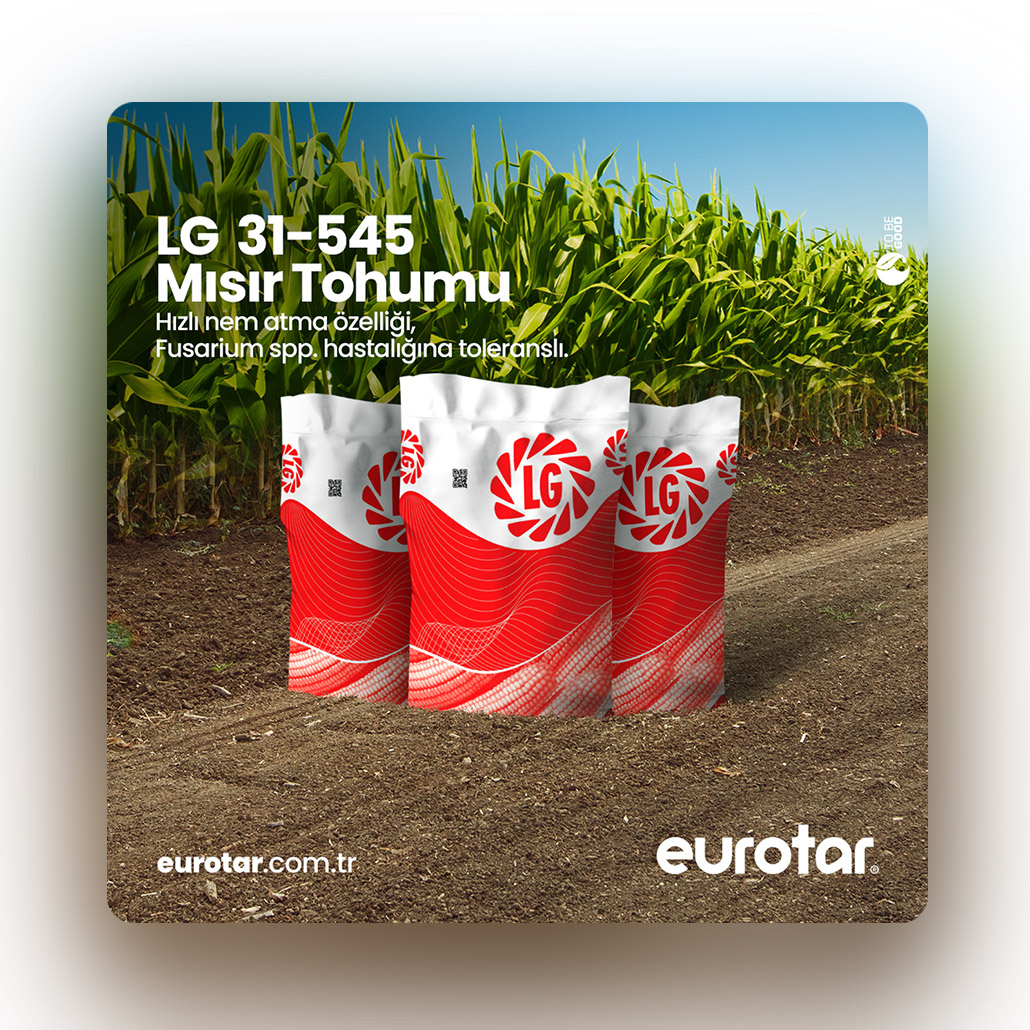 Eurotar Sosyal Medya Tasarım / LG Tohum Ürün Tanıtım - Mısır