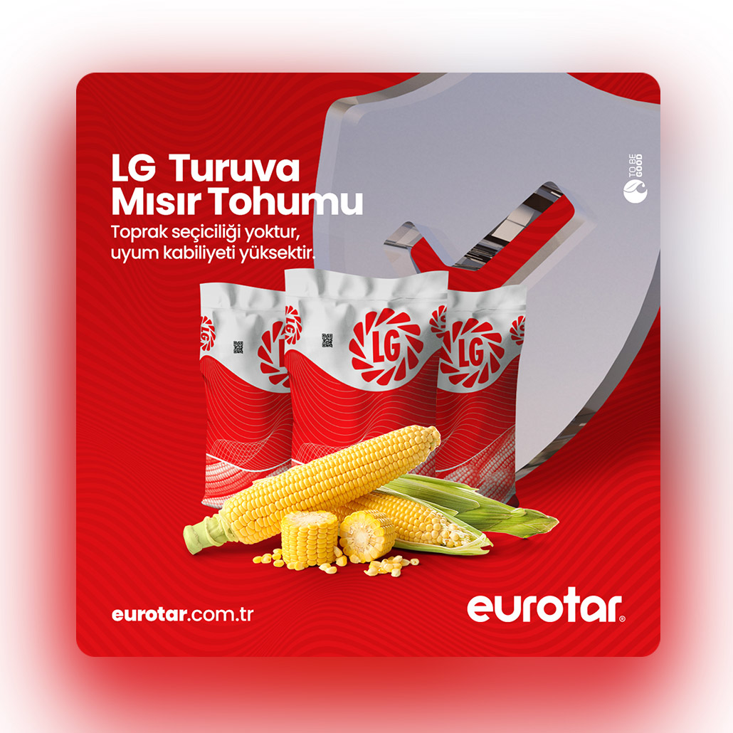 Eurotar Sosyal Medya Tasarım / LG Tohum Ürün Tanıtım - Mısır