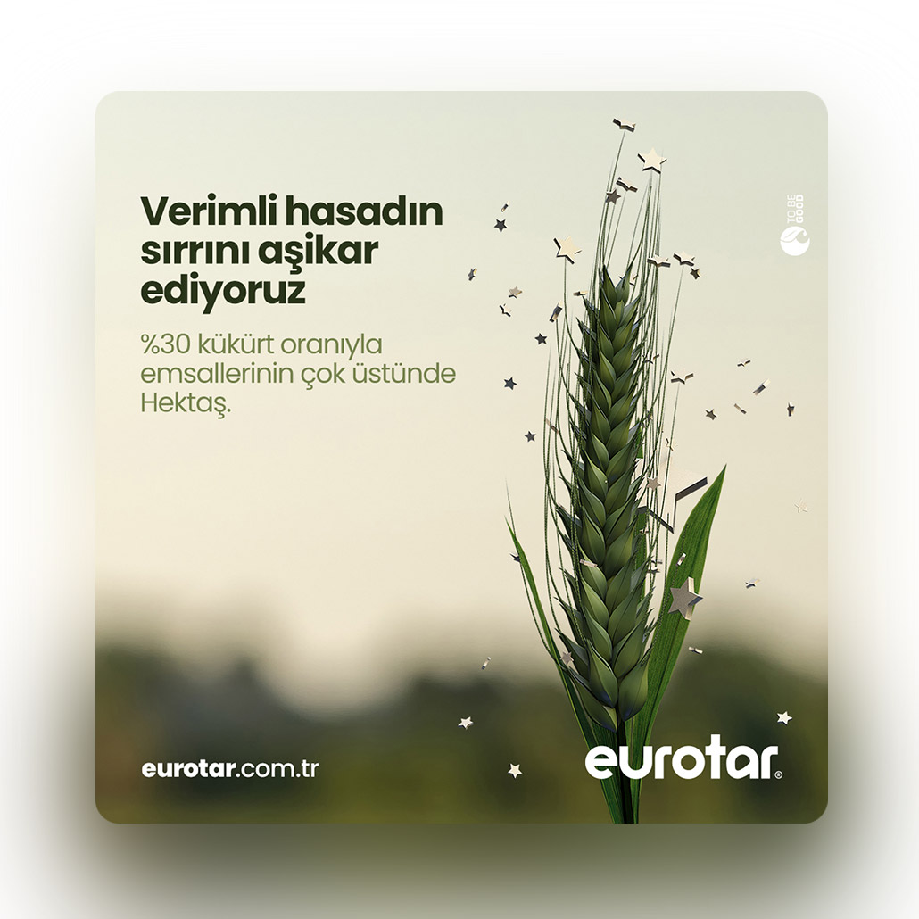 Eurotar Sosyal Medya Tasarım / Verimli Hasat